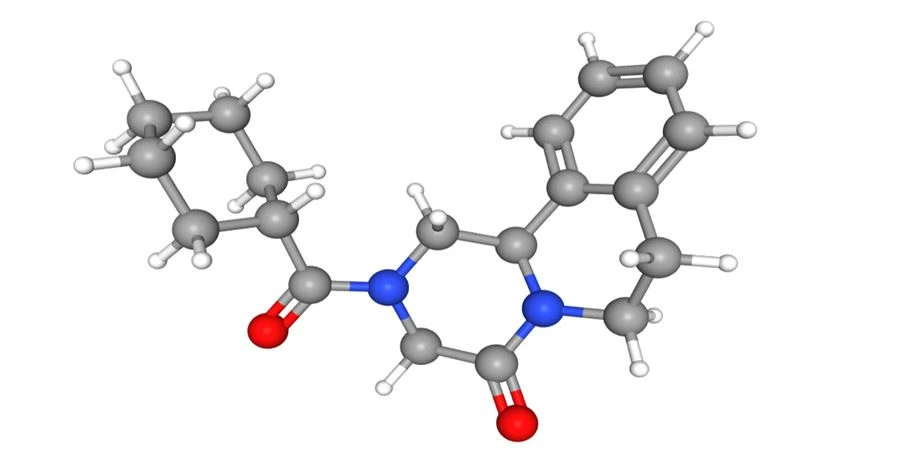 Praziquantel V