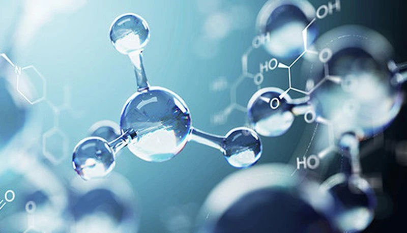 Antioxidant activity