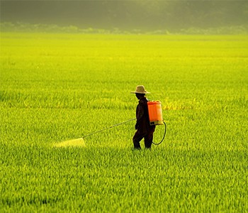 Denna typ av bekämpningsmedelsförgiftning bryter tröghetstänkandet...