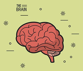 Smarta droger---är populära i Europa och USA!