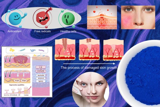 Phycocyanin B Phycocyanin B