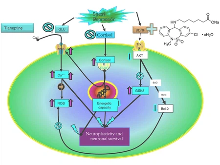 46Tianeptine sodium powder c 46Tianeptine sodium powder c