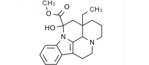 MF of Withania Somnifera Extract MF of Withania Somnifera Extract